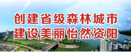 粉嫩插屄视频创建省级森林城市 建设美丽怡然资阳